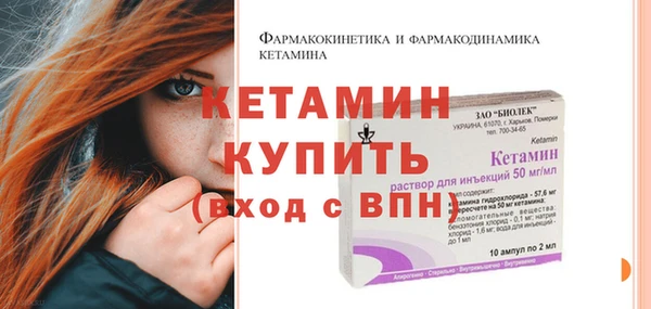 индика Бородино