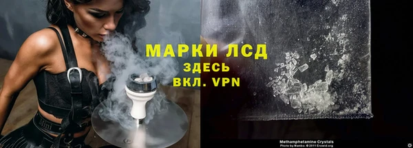 индика Бородино