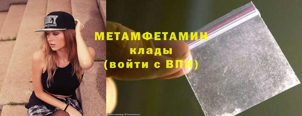 индика Бородино