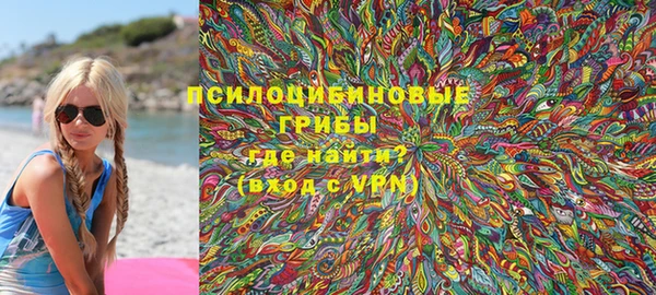 индика Бородино