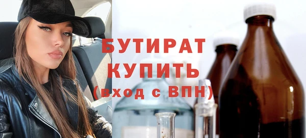 индика Бородино