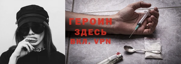 индика Бородино