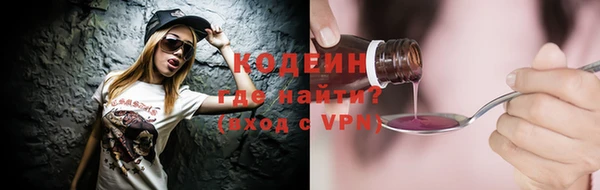индика Бородино