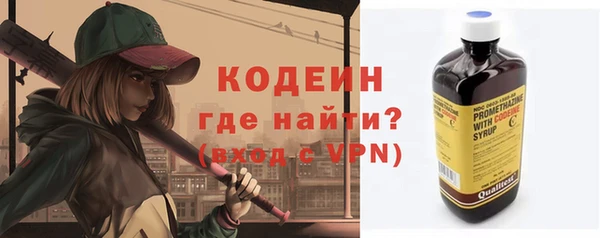 индика Бородино