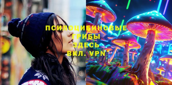 индика Бородино