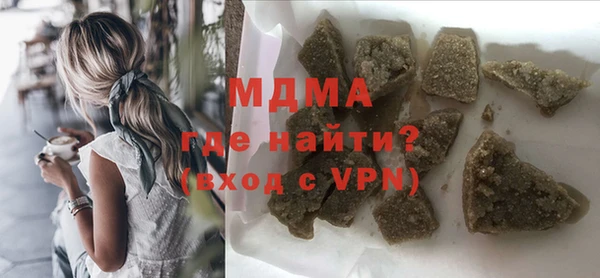 индика Бородино