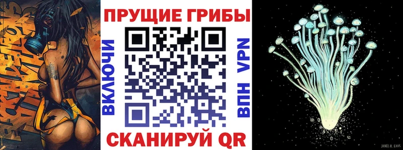 Купить  Глазов  Галлюциногенные грибы мицелий 