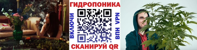 Купить где  Глазов  Бошки Шишки марихуана 